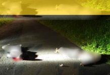 PADRE E HIJO ASESINADOS A BALAZOS EN MATINA
