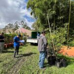 UN “BOSQUE PRESTADO” LLEGARÁ AL CENTRO DE SAN JOSÉ PARA CELEBRAR LA LLUVIA