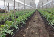 HEREDIA ARTICULA ESTRATEGIA PARA UNA PRODUCCIÓN HORTÍCOLA RESPONSABLE